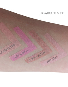 Powder Blusher