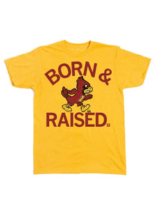 Cyclones Born & Raised Vintage