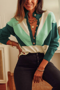 Color Block Buttoned Sweater**